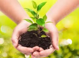 Questa giornata è dedicata al tema del drammatico declino della biodiversità del pianeta. Torff1h90nj4nm