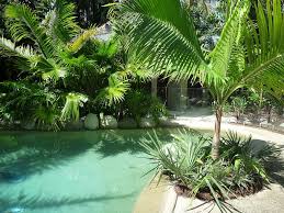 A tropical makeover for a small garden. Hortulus Landscape Design Construction Tropical Garden