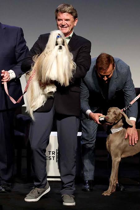 Jane Lynch, Best in Show Cast Share Beloved Pet Stories at 25th Anniversary  Reunion (Exclusive)