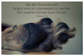 Bei Der Freundschaft Fängts Erst An Interessant Zu Werden