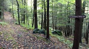 In addition to the old growth, mohawk trail state forest contains the tallest trees in new england, a section of the original mohawk indian trail, and other historic, cultural, and ecological features. Mohawk Trail State Forest Has The Oldest Tree In Massachusetts