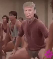 Flexes and moves easily, dries quickly and retains shape. Donald Trump Gifs Get The Best Gif On Giphy