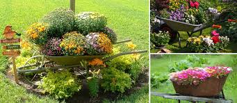 Wooden wheelbarrows would do best for the function; 33 Wheelbarrow Planter Ideas For Your Garden Garden Lovers Club
