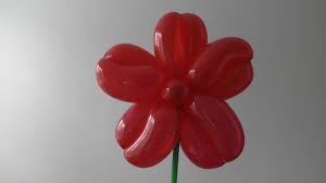 ( globoflexia ) this episode will teach you how to make a two balloon flower bracelet.twitter: Balloon Animals Twisting Instructions Balloon Flower How To Make Balloon Flower