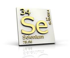 Image result for Selenium