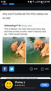 Pin By Amazuing Deadpool On Animals And Pets Funny Animals Animal Logic Funny