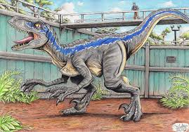 Blue is a female velociraptor that appears in jurassic world, jurassic world: Jurassic World Blue Blue Jurassic World Jurassic World Dinosaurs Jurassic Park World