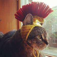 Roman Centurion Cat Hat Crochet Cat Memes Funny Cat Pictures Funny Cat Memes