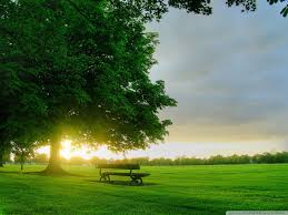 Looking for the best wallpapers? Nature Desktop Wallpaper Summer Wallpaper