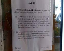 Maybe you would like to learn more about one of these? Foto Tii La Bloc Un Animal De Companie Patrupedele In Vizorul Asociatiilor De Proprietari Din Buzau Vezi Aici Ce Obligatii Ai