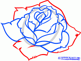 How To Draw A Blue Rose Step By Step Flowers Pop Culture Free Online Drawing Tutorial Added By Dawn January 19 Flower Drawing Rose Drawing Guided Drawing