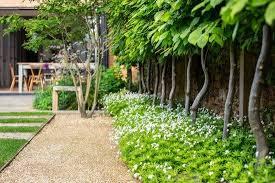 Victorian Town House North Oxford Landscape Garden Design Angus Thompson Design In 2020 Garden Design Garden Garden Landscaping
