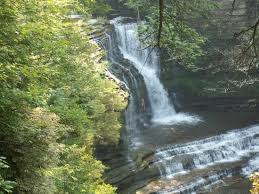 Cummins falls state park is a popular dog friendly hike in cookeville. Cummings Falls Taken By M Salazar Copyright Picture Of Cummins Falls State Park Cookeville Tripadvisor
