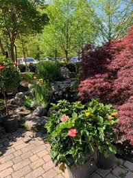 Spend thursday mornings at the nursery greenhouse with local librarian ms. Rutgers Landscape Nursery 1051 Us Highway 202 Ringoes Nj Nurseries Mapquest