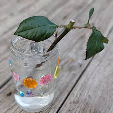 Image result for cuttings of roses