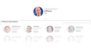 Org Chart Amazon The Information