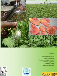 Image result for Telosma africana