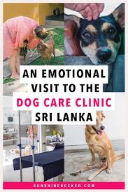 At chagrin falls pet & veterinary clinic our pets benefit from supplements that are formulated specifically for their needs. All Pets Veterinary Clinic Neasden Petscare