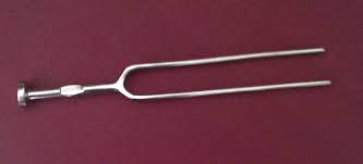 Image result for Tuning Fork Test