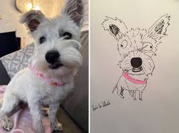 We have custom pet portraits in a huge range of different styles, be it renaissance dog or cat portraits, in a royal, regal style reminiscent of 18th century artwork. I Have Never Drawn In My Life But I Am Doing Crappy Pet Portraits To Raise Money For Charity 30 Pics Bored Panda