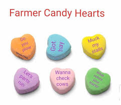 Pin By Steffas Chavez On Valentine S Day Heart Candy Sugar Cookie Cow Colour