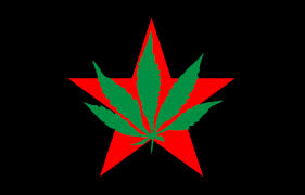Coalition is a 2015 british television film about the formation of a coalition government following the 2010 united kingdom general election. Youth International Party The Reader Wiki Reader View Of Wikipedia