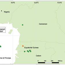 Image result for Dichaetanthera erici-rosenii
