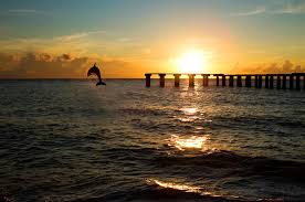 Better block tampa, tampa, florida. Best Beaches In Tampa Choice Hotels