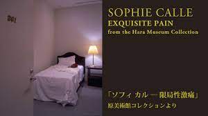 Hara Museum Web | Hara Museum of Contemporary Art | Exhibitions | Sophie  Calle, “Exquisite Pain” from the Hara Museum Collection