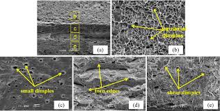 A dimple (also known as a gelasin) is a small natural indentation in the flesh on a part of the human body, most notably in the cheek. Tensile Fracture Morphology A Regions B Equiaxial Dimples In Download Scientific Diagram
