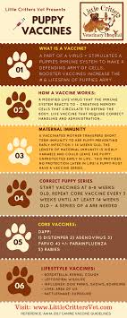 You can give your puppy its shots at home. Vaccinating Puppies Little Critters Veterinary Hospital Gilbert Az