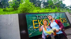 Download taman eko rimba apk voor android. Kl Forest Eco Park Visit Selangor