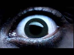 The episode primarily focuses on alisha daniels, her power and her growing relationship with curtis. Misfits Saison 2 Episode 2 Youtube