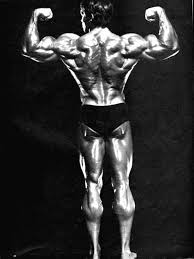 Bodybuilder, actor, movie star, producer, activist, businessman, inventor, writer, politician. Arnold Schwarzenegger Back Double Biceps In Studio Built Report