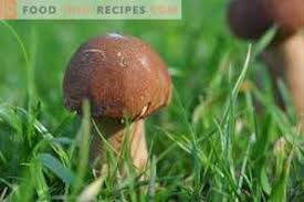 I funghi congelati a fettine si possono cuocere direttamente, mentre quelli interi è meglio farli scongelare prima della cottura. Come Congelare I Funghi Porcini