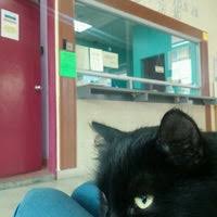 We did not find results for: Pejabat Perkhidmatan Veterinar Daerah Petaling