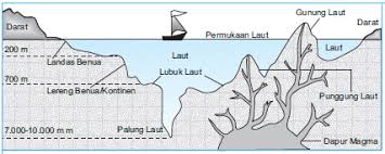 Bentuk muka bumi di kawasan pinggir laut. Bentuk Muka Bumi Penjelasan Terlengkapnya