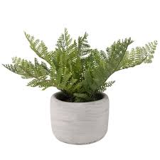 Pianta Artificiale Felce In Vaso In Cemento Maisons Du Monde Piante Artificiali Arredamento Da Giardino Piante
