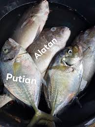 Looking for a 3 star hotel in tambunan? Fresh Seafood Available Man Tabi Ini Facebook