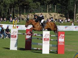 Since many jumping events don't show the course until the day of the show, it can be difficult to memorize the path you need to take. Show Jumping Wikipedia