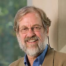 SEL and the Future of Our Democracy