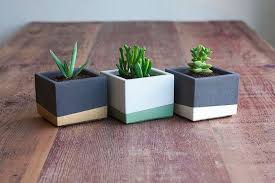 How To Make Your Own Concrete Planter Diy Concrete Planters Handmade Planter Concrete Diy