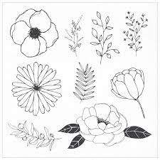 Collection of hand drawn flowers and plants. Free Vector Hand Drawn Flowers And Leaves