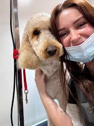 Ruff Around The Edges Grooming