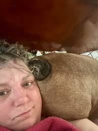 Do English Bulldogs often put their butts up against their owners' heads  when sleeping?