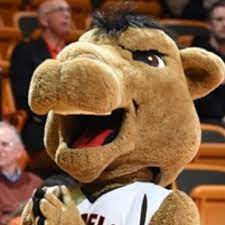 Information about campbell university camels, a college team from buies creek, north carolina, including website, logos and social media links. Gaylord The Camel Gaylordthecamel Twitter