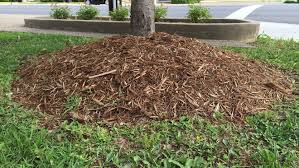 Learn vocabulary, terms and more with flashcards mound builders. Master Gardening Stop The Mulch Volcanoes