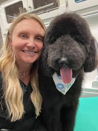 Dog Grooming for Pregnancy