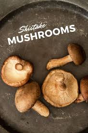 Japanese Shiitake Mushrooms