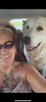 Anyone recognize these two? It's a Mom and her puppy. 11:05 AM